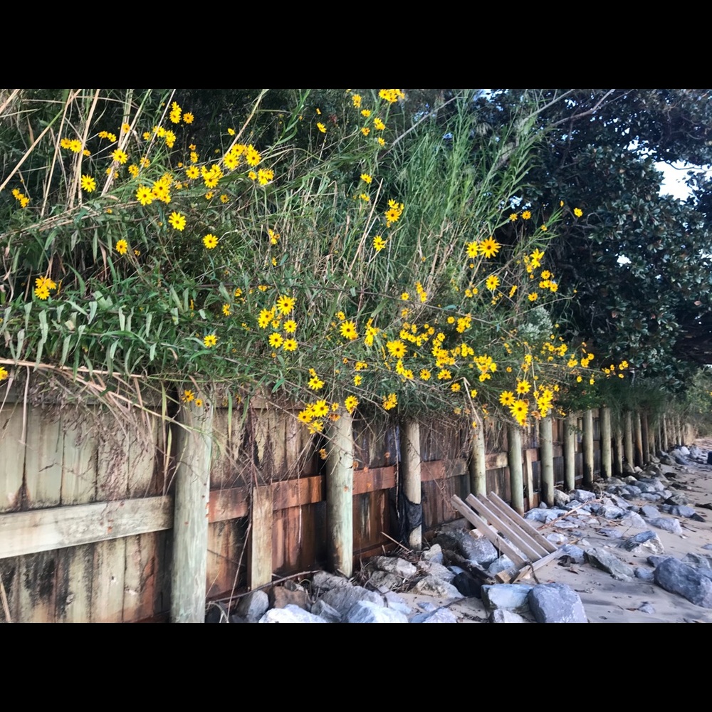 Meet your Posher, KF